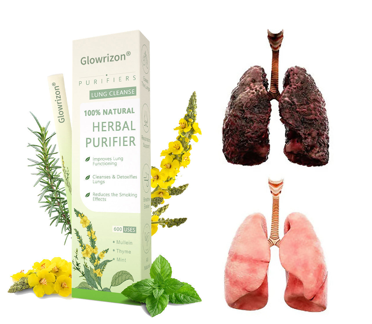 ✨ New upgraded version of Glowrizon® Mullein Herbal Lung Purifier – 🔥 70% off today only!