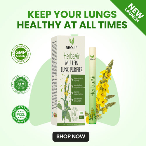 BBOJI® HerbaAir Mullein Lung Purifier